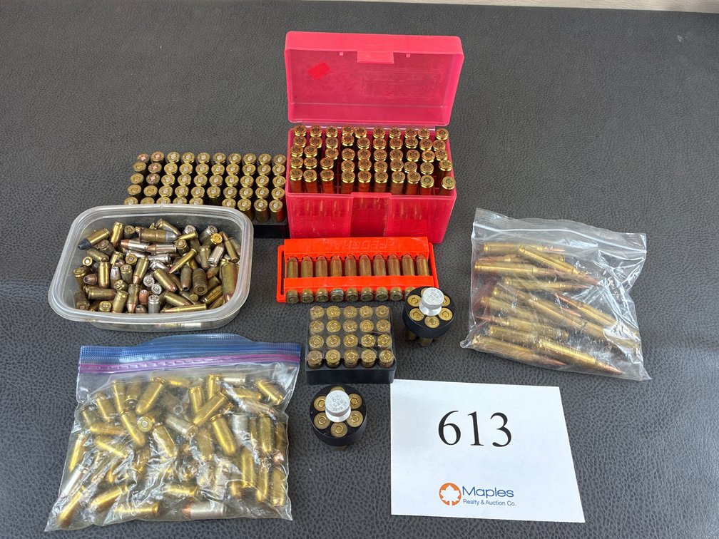 Large Assortment of Ammo