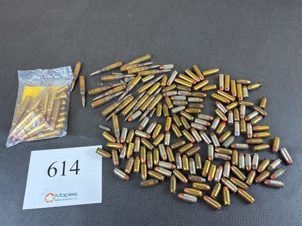 Large Variety Of Ammo