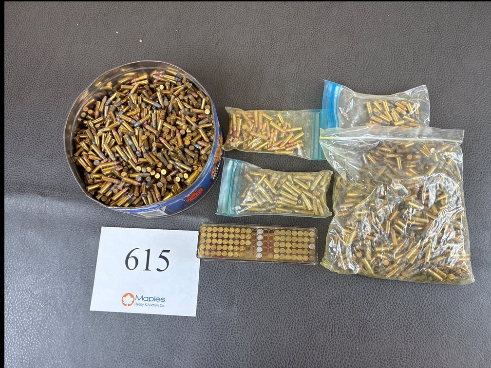 Large Assortment of .22 LR