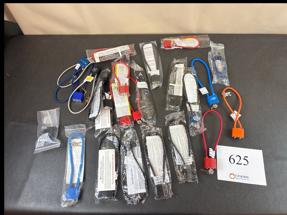 Assortment of Gun Locks