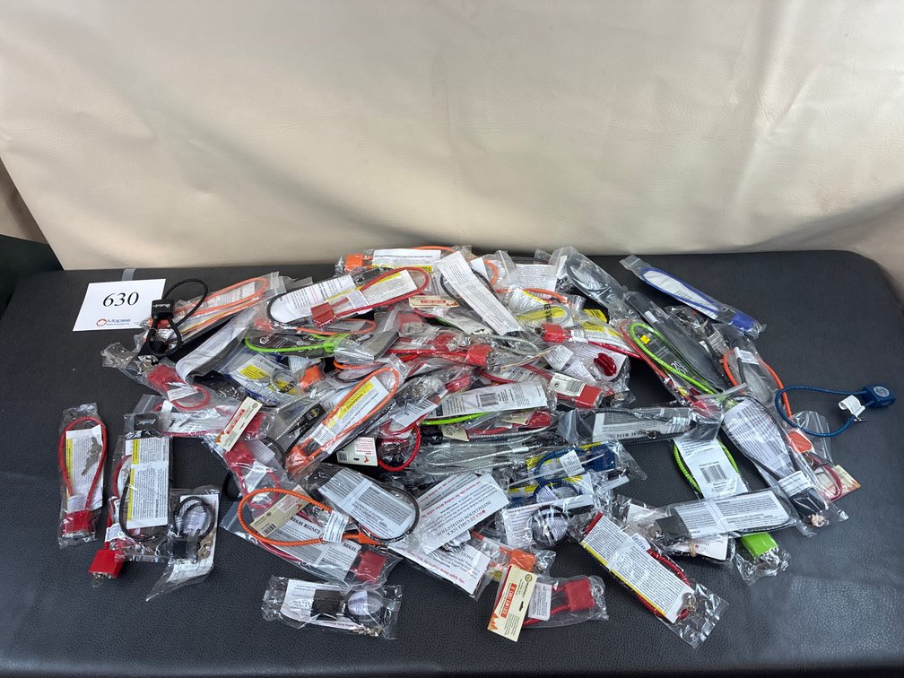 Large Assortment of Gun Locks