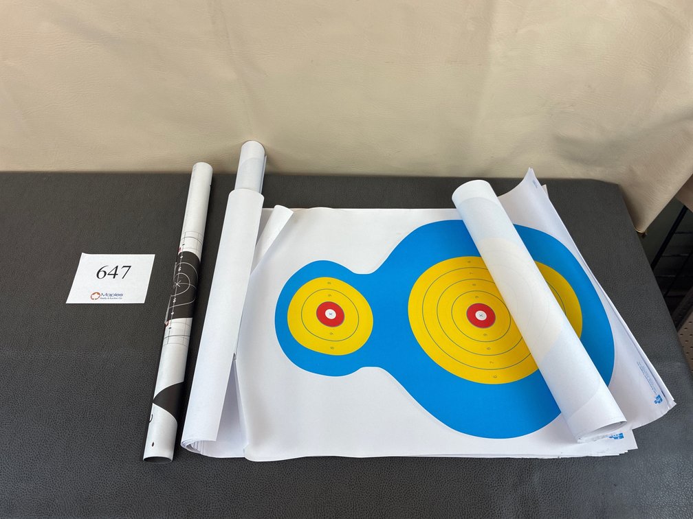 Large Assortment of Paper Target