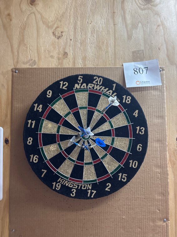 Narwhal Dart Board