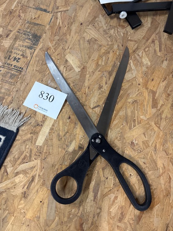 LARGE Scissors