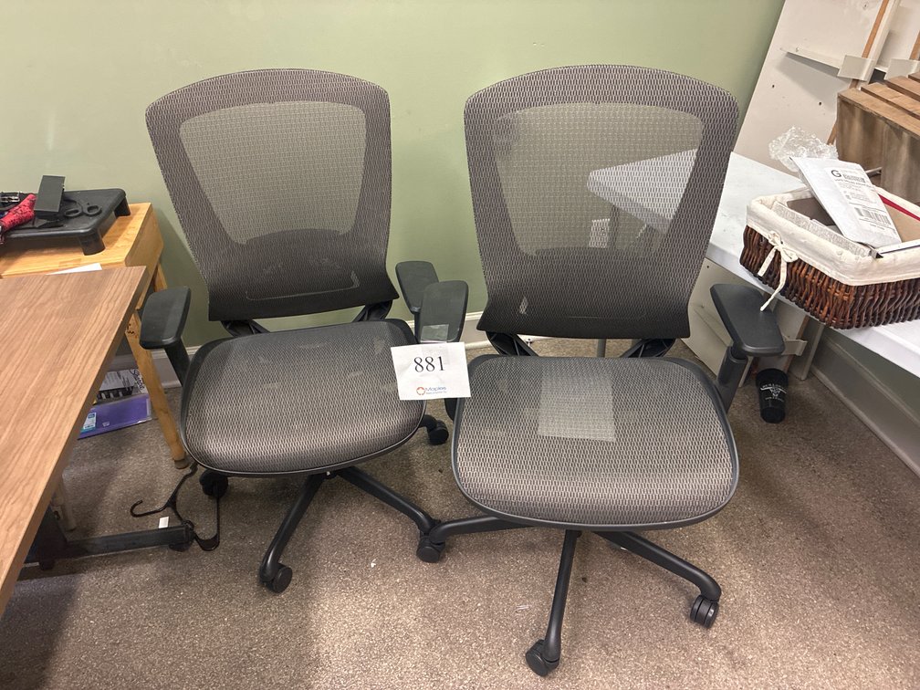 (2) Office Chairs
