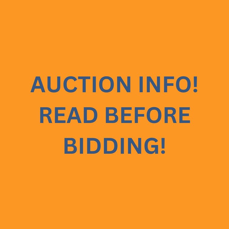 AUCTION DETAILS