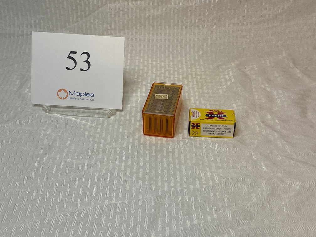 22LR / 22WMR AMMO