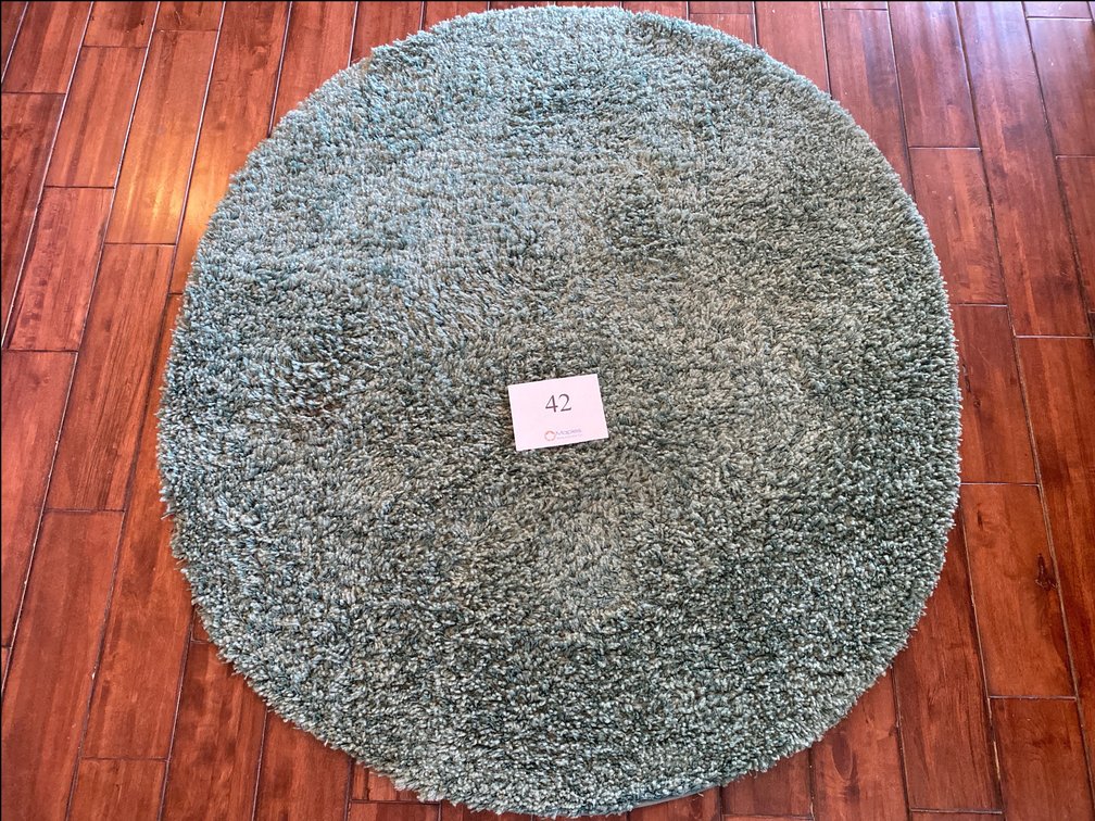 OVAL 54”x48” TURQUOISE RUG