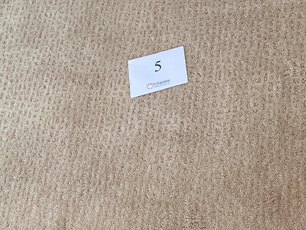 RUG 7’x10’