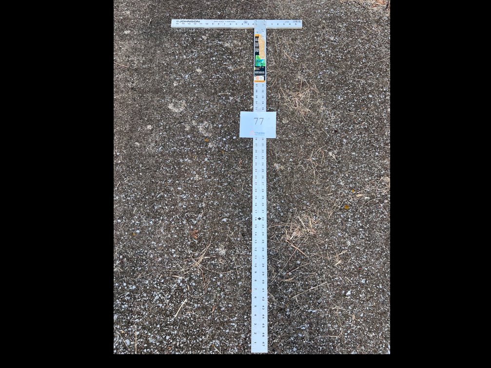 Square