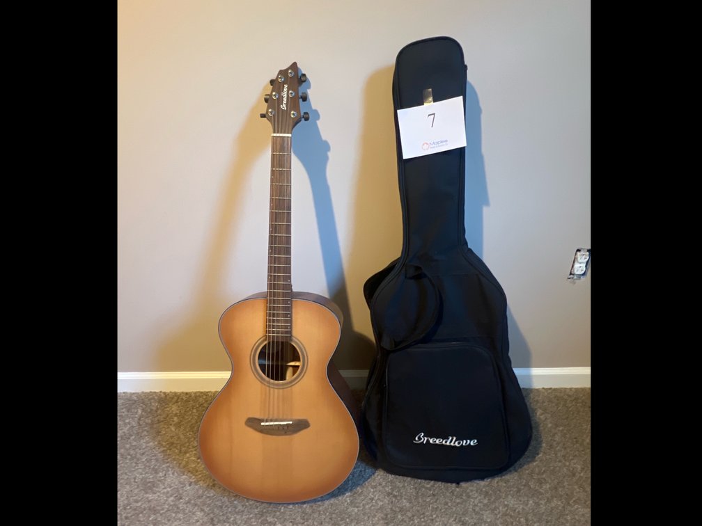 Acoustic Guitar