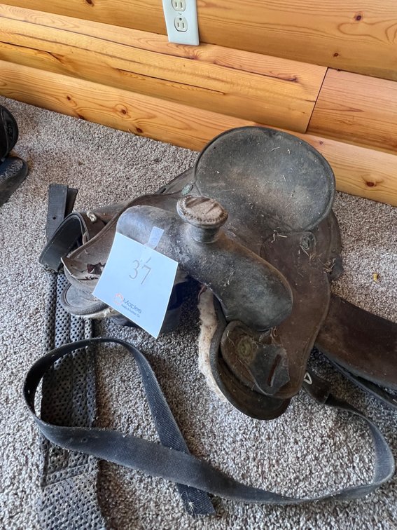 Saddle