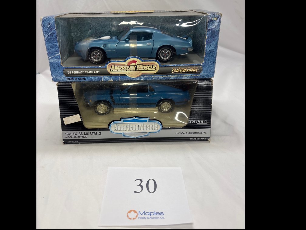 American Muscle Diecast 1:18