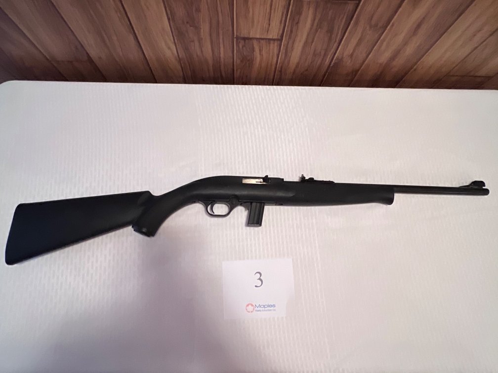 Mossberg 702 Plinkster - .22 caliber