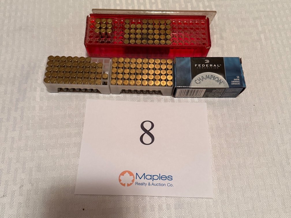 .22 ammo