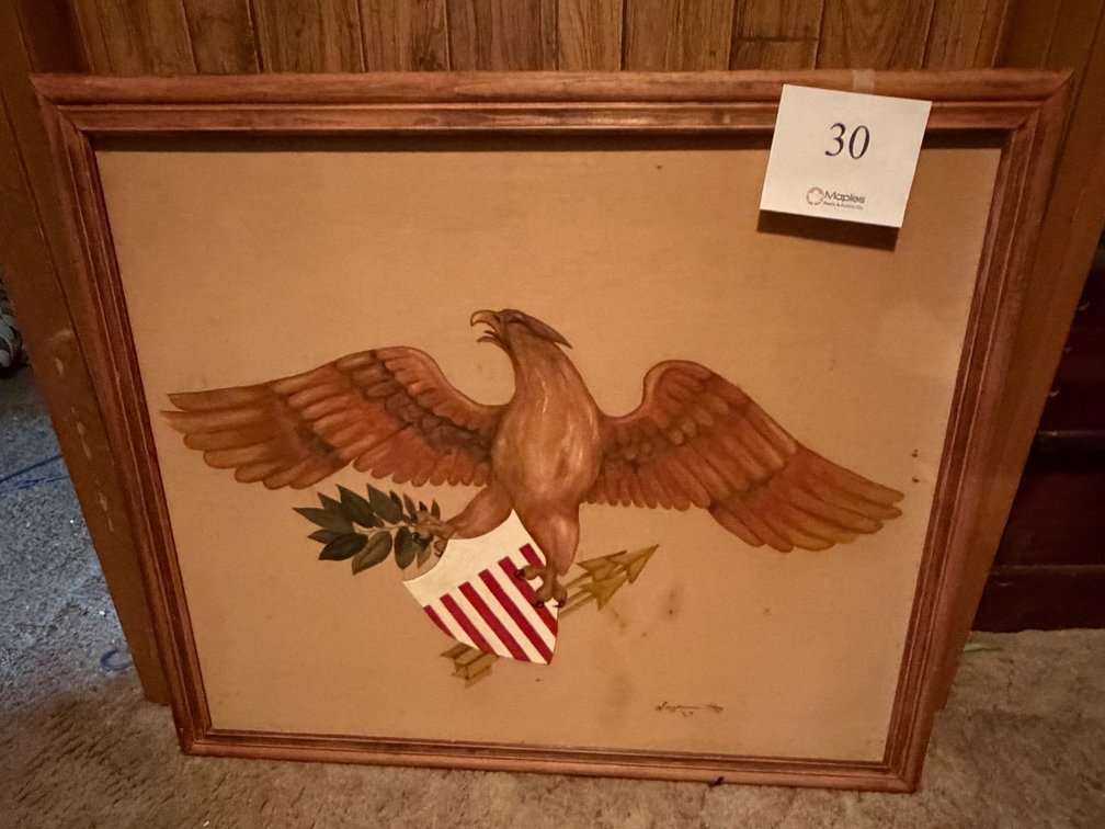American Eagle framed photo