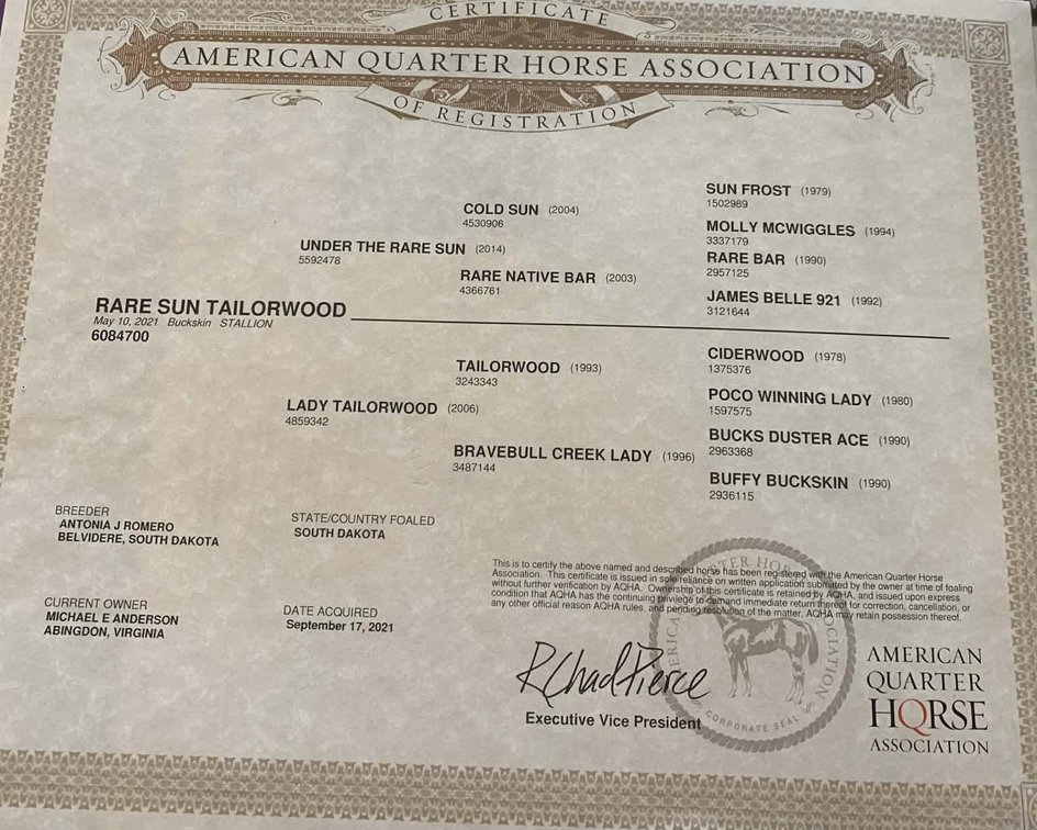 Image for Lumberton Horse and Tack Auction, March 2026