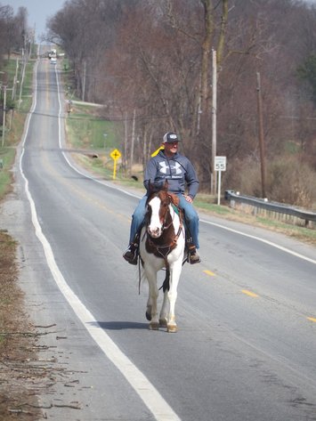 Image for Dixie Horse Auction- Saturday- Day 2