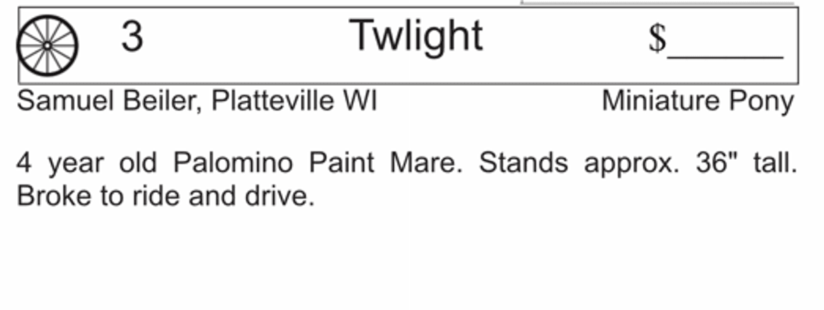 Image for Southwest Wisconsin Riding Horse Sale