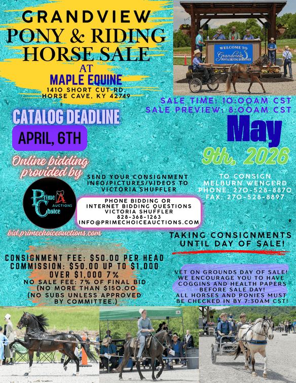 Image for Grandview Pony & Riding Horse Sale
