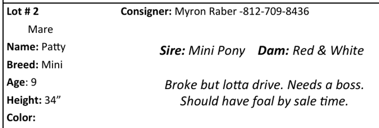 Image for Daviess County Pony Auction