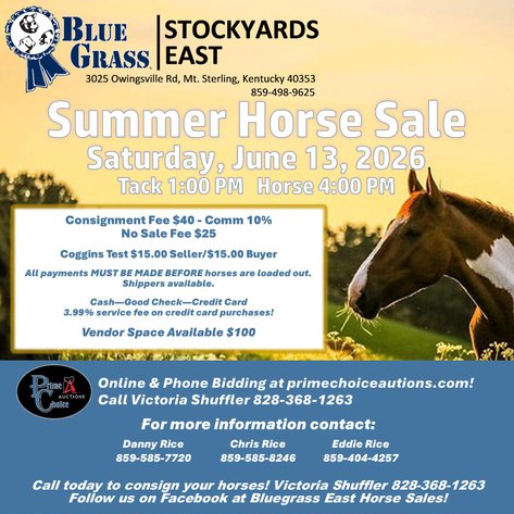Image for Bluegrass East Summer Horse Sale 2026