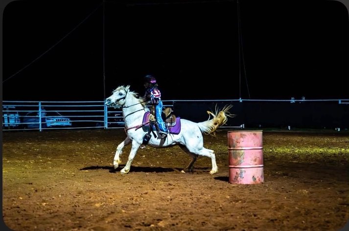 Image for Lumberton Horse and Tack Auction, June 2026