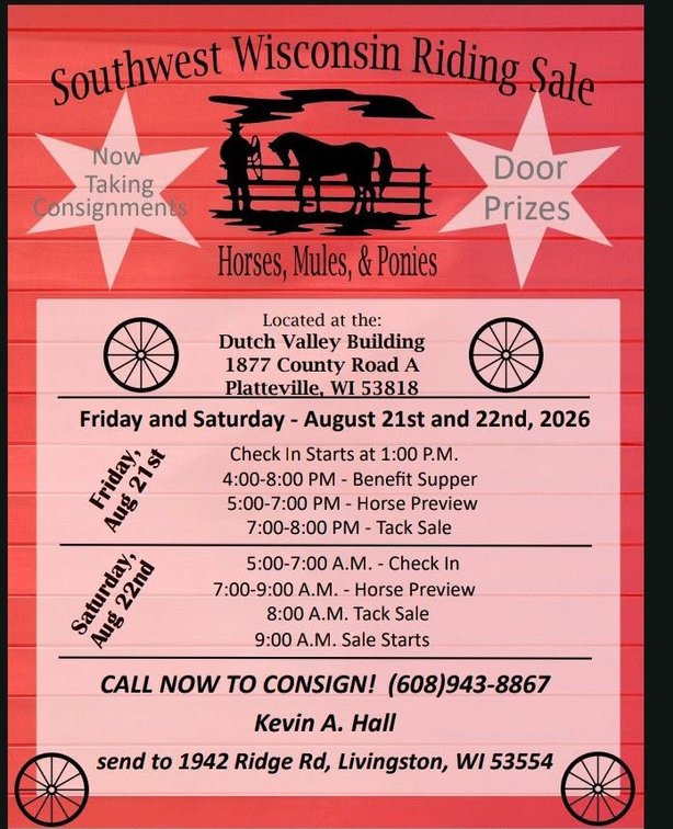 Image for Southwest Wisconsin Riding Horse Sale