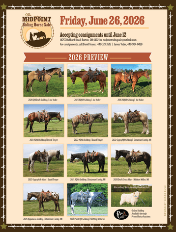 Image for Midpoint Riding Horse Sale