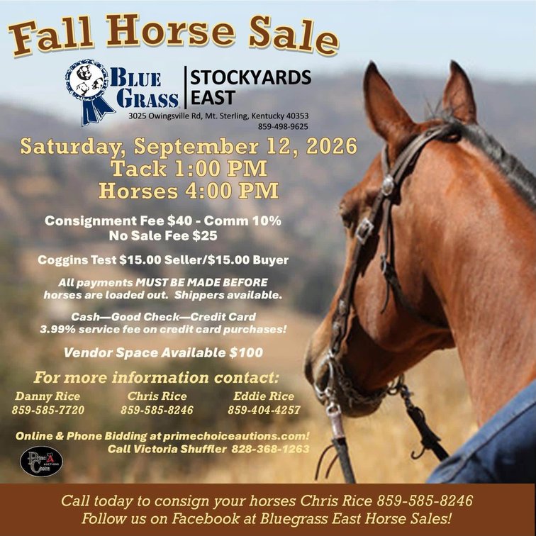 Image for Bluegrass East Fall Horse Sale 2026