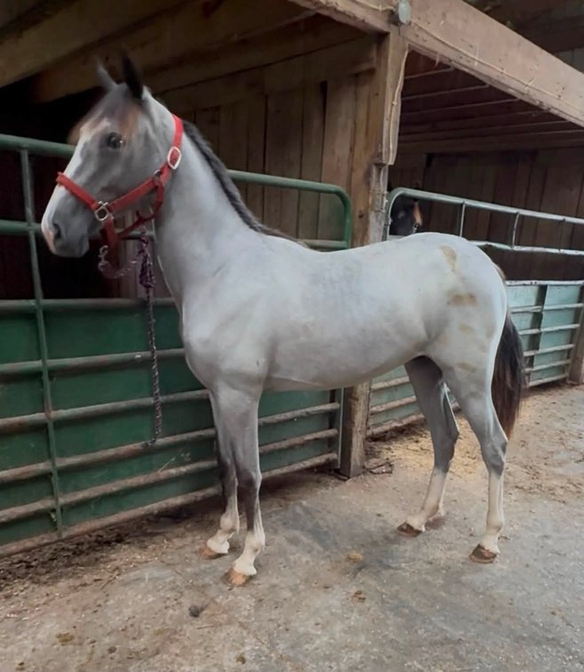 Silver Creek Maya