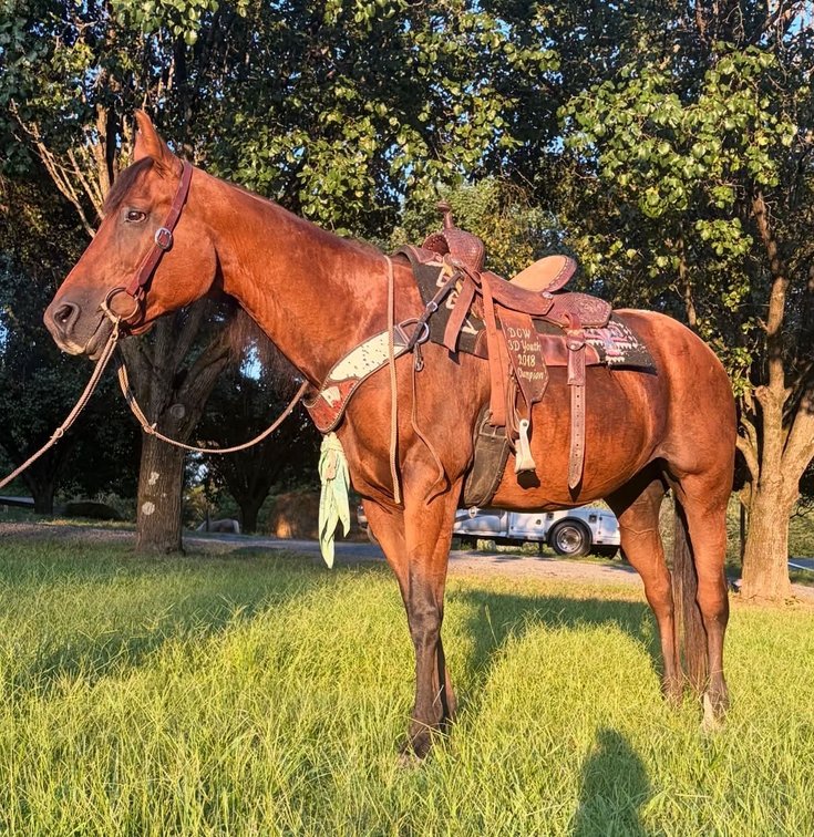 Dallas