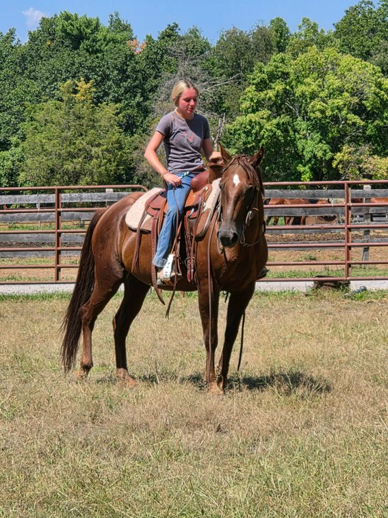 Reba