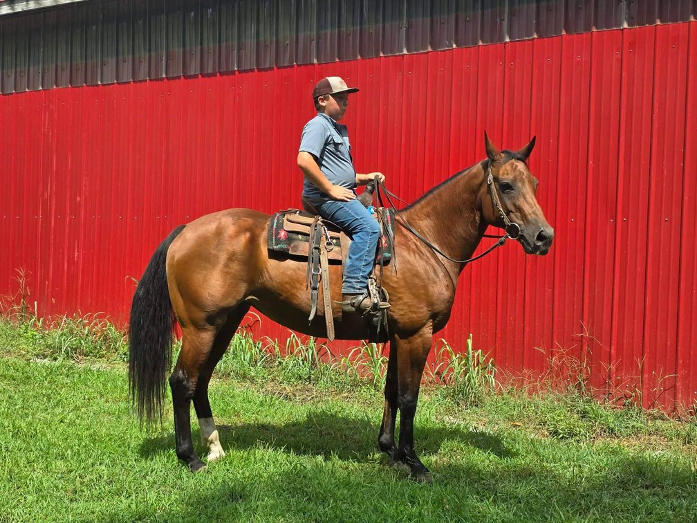 10yr old Mare (VIDEO)