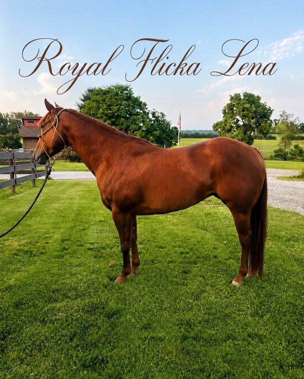 Royal Flicka Lena