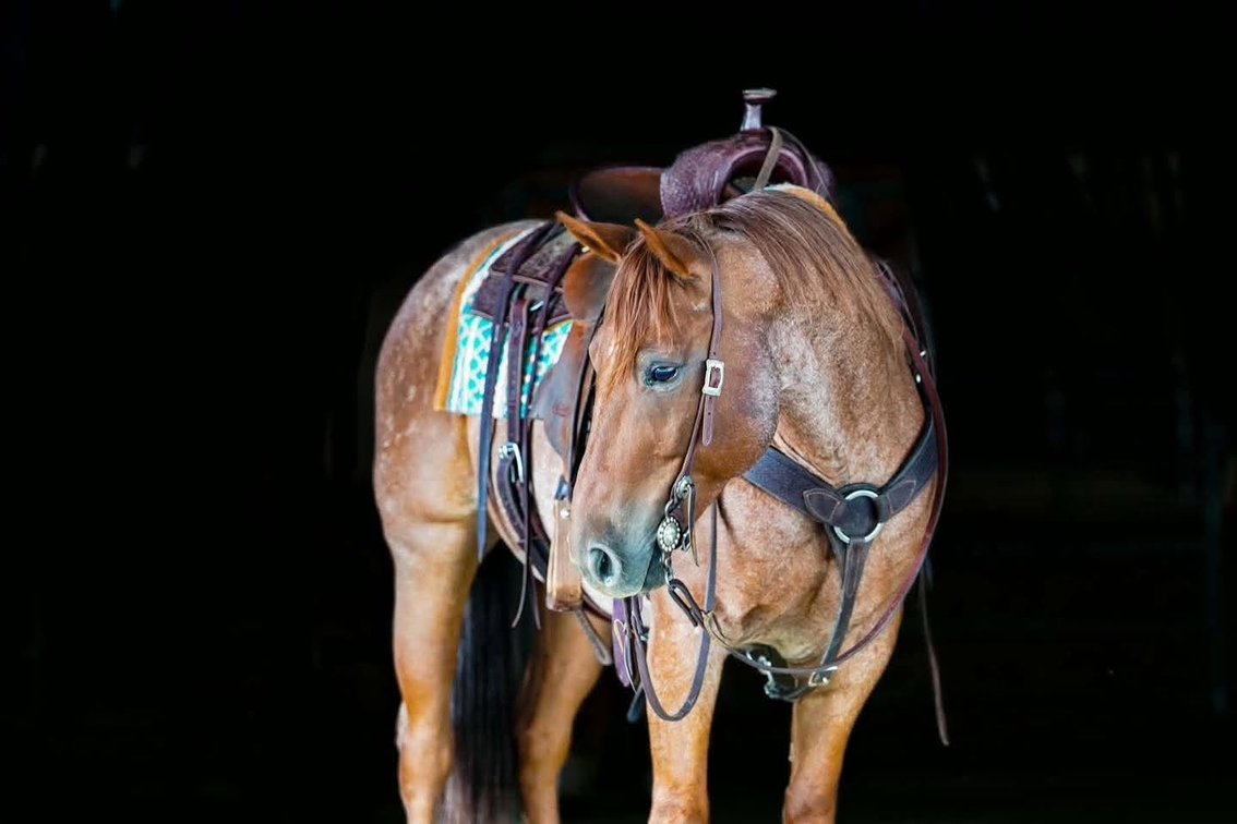 Candy Wright On aka Stetson