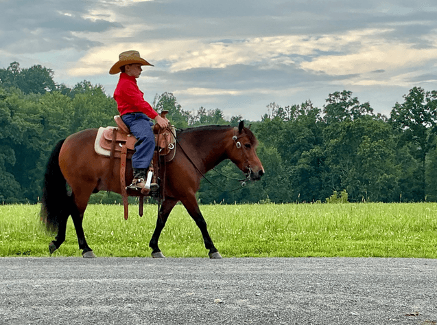 Image for The Horseman's Mission Select Sale 2026