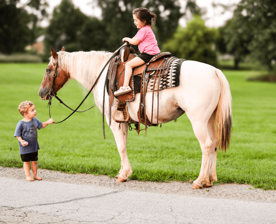 Image for The Horseman's Mission Select Sale 2026