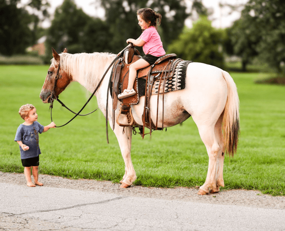 Image for The Horseman's Mission Select Sale 2026