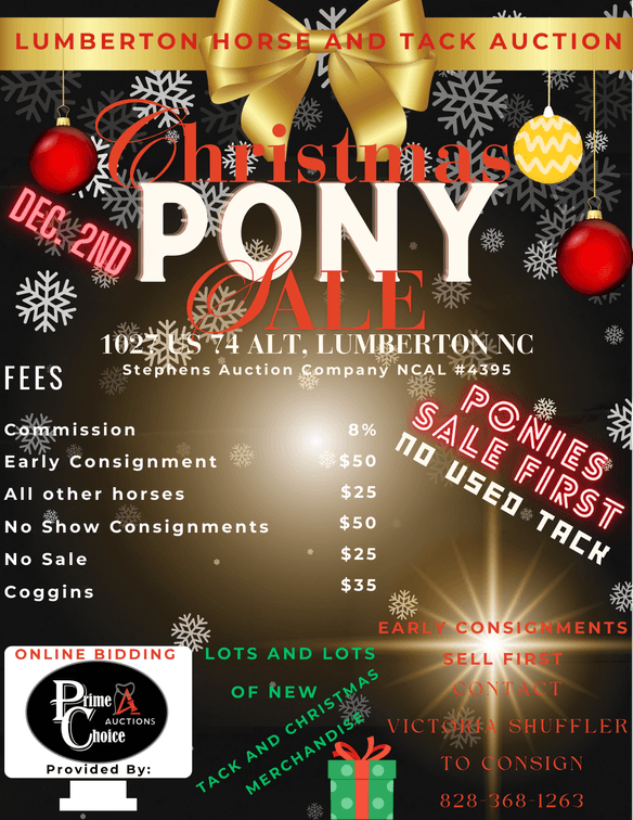 Image for Christmas Pony Sale, Lumberton Horse and Tack Auction 2024