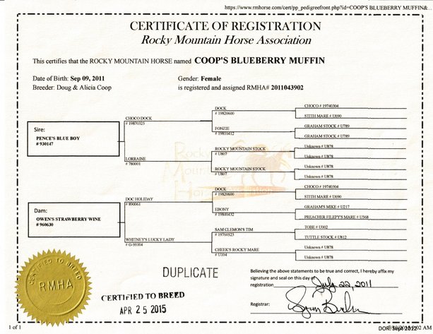 Image for Mid Eastern Kentucky Gaited Horse Sale