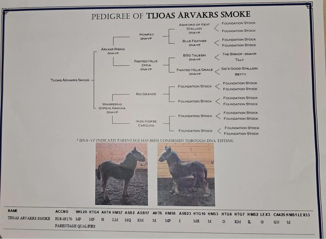 Image for Eastern Elite Select Sale