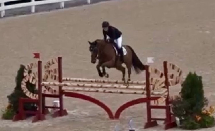 Image for Bluegrass East Summer Horse Sale