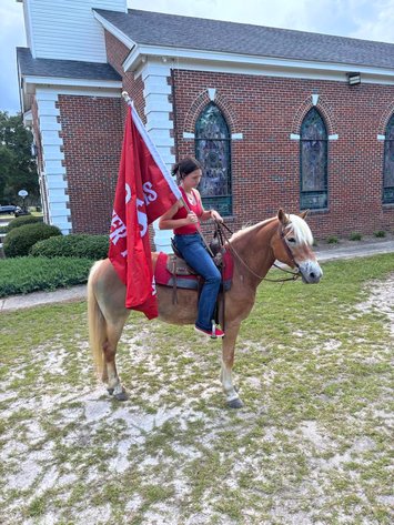 Image for Lumberton Horse and Tack Auction, July 2025