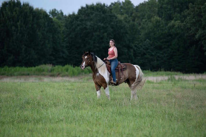 Image for Lumberton Horse and Tack Auction, August 2025
