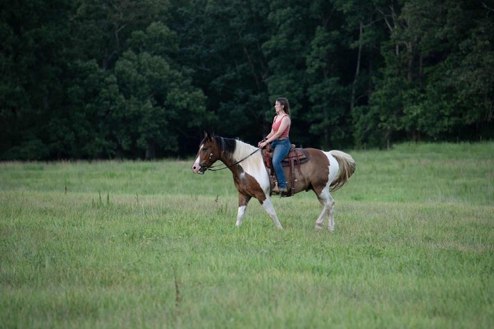 Image for Lumberton Horse and Tack Auction, August 2025