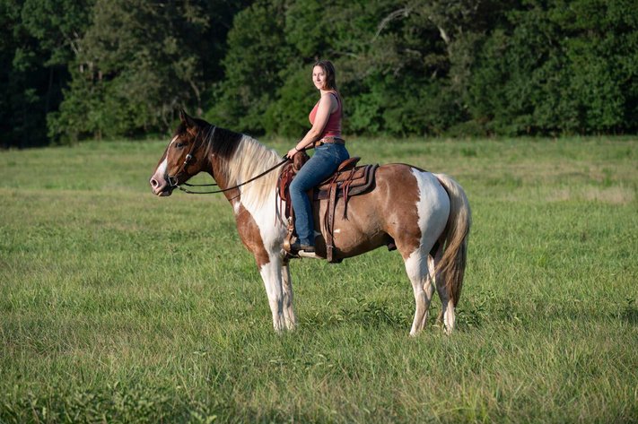Image for Lumberton Horse and Tack Auction, August 2025