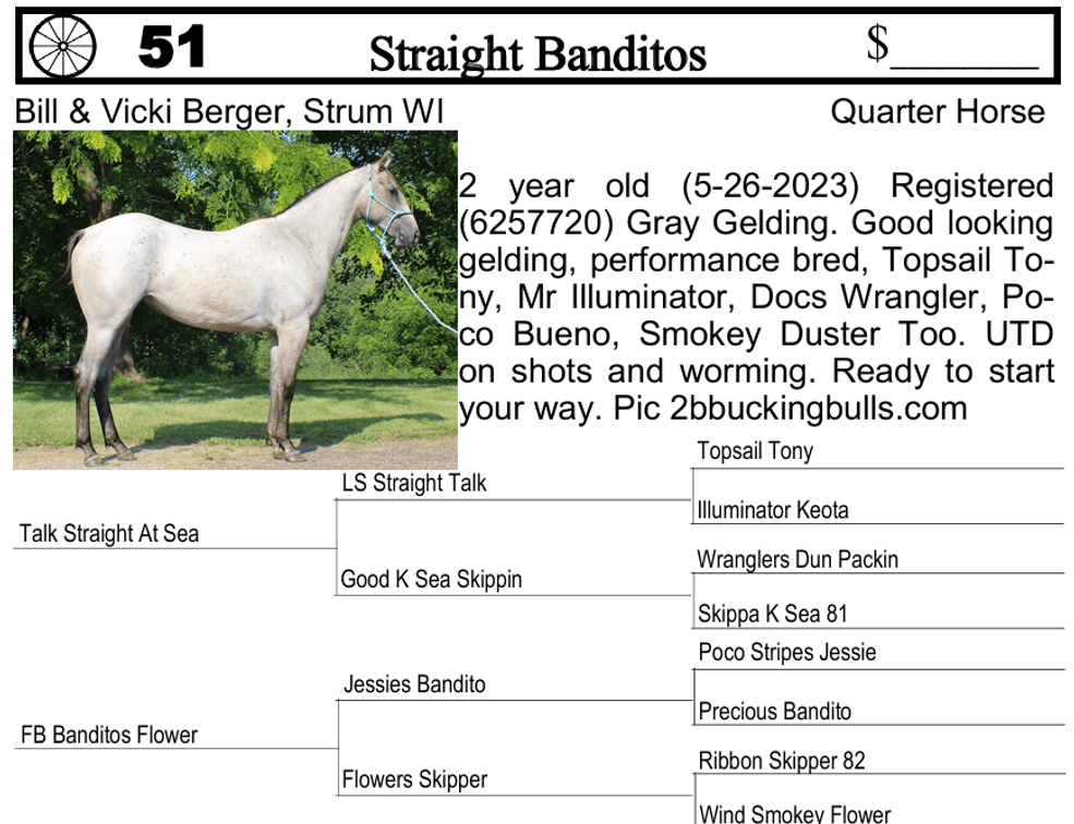 Image for Southwest Wisconsin Riding Horse Sale