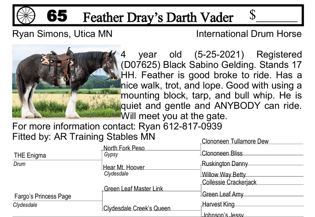 Image for Southwest Wisconsin Riding Horse Sale