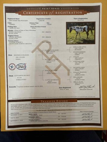 Image for Lumberton Horse and Tack Auction, September 2025